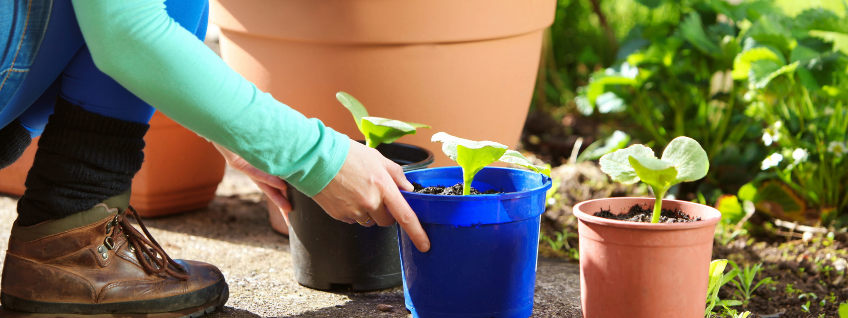 A gardener arranging potted plants in a budget-friendly patio garden