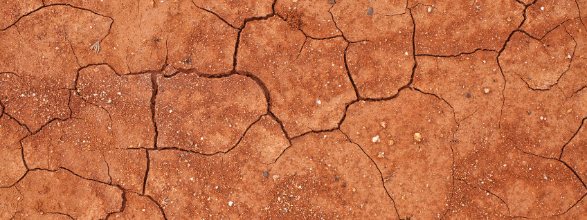 Red clay soil with cracks throughout