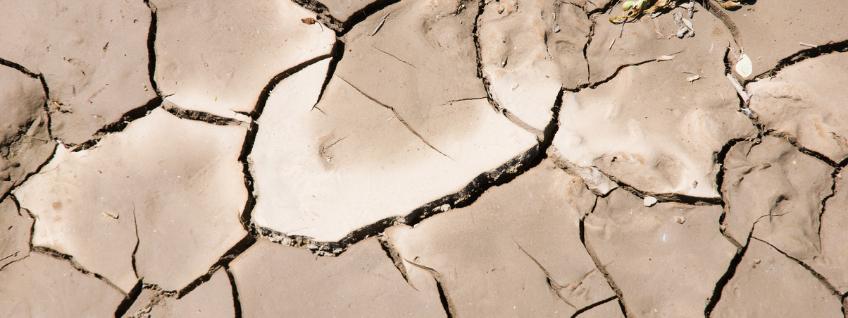 Pale-colored, dried silt with cracks throughout