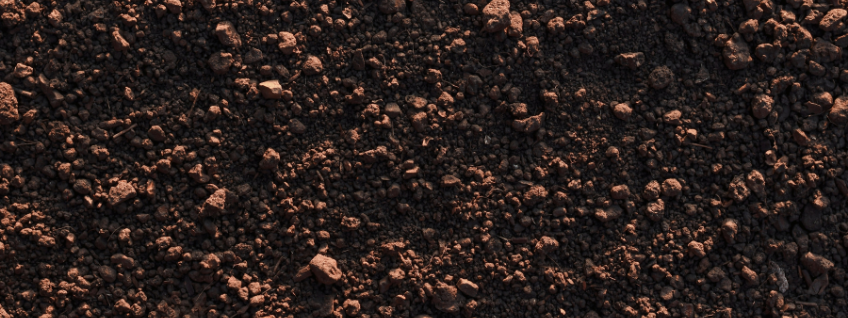 Loam soil showing the combination of different particle sizes