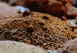 Mounds of soil samples and different types both close-up and out of focus.