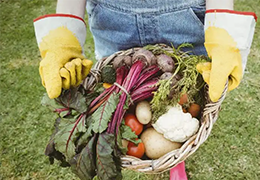 A gardener holding a basket full of freshly harvested veggies, fruits and herbs.