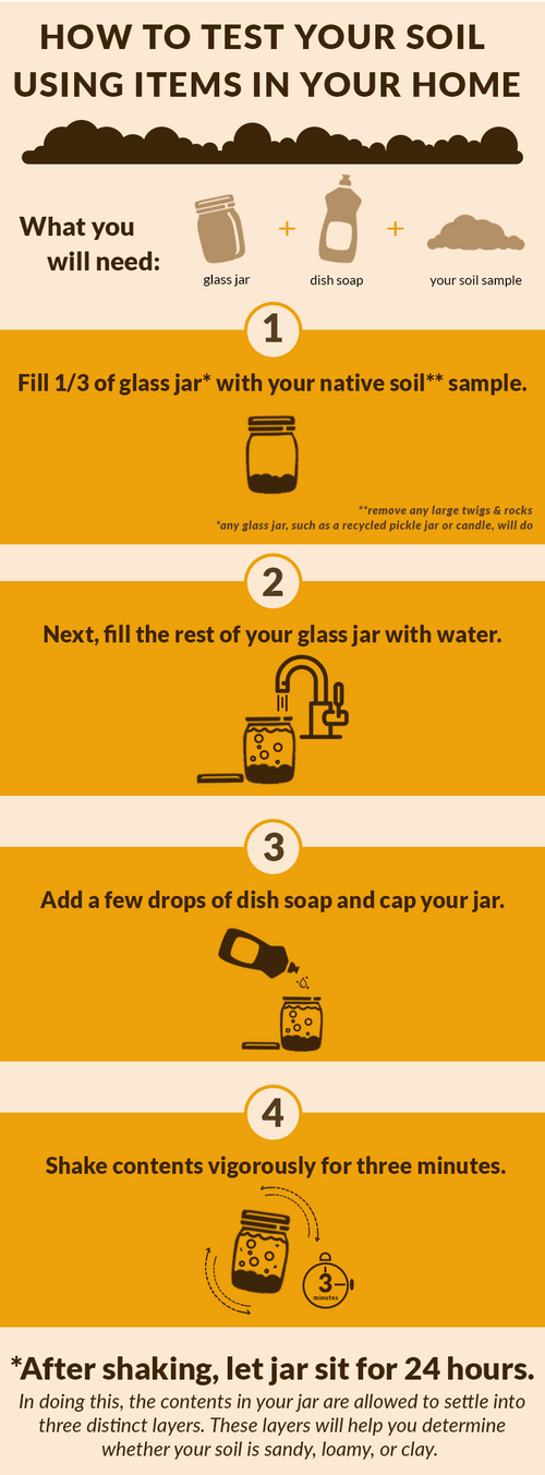 An infographic depicting illustrated instructions on the step-by-step process of testing your soil using items in your household.