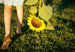 A young girl carrying a sunflower bloom.