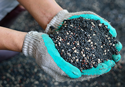 Understanding fertilizer in your garden.