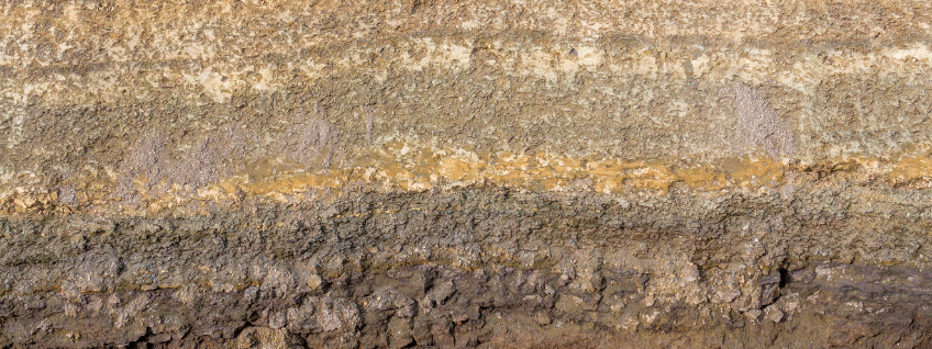 Cross-section of a soil sample showing different layers