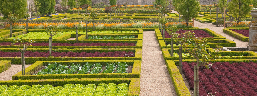 Vegetable gardens of Villandry Castle in France